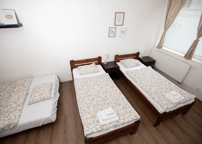 Zizkov Cosy Apartamento *