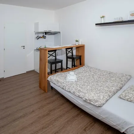 Zizkov Cosy פראג