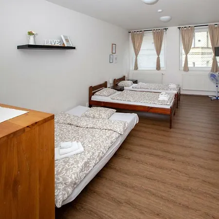 Zizkov Cosy פראג