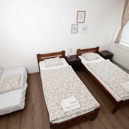 Zizkov Cosy 公寓 *