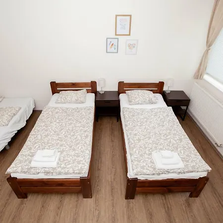 Zizkov Cosy Appartamento *