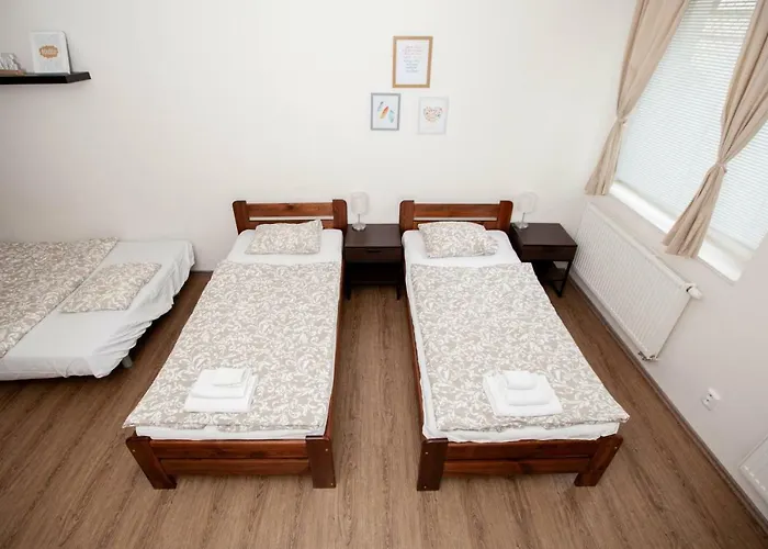 Zizkov Cosy 公寓 *